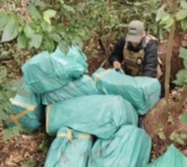 Incautan 300 kilos de marihuana en Yby Yaú - Paraguay.com