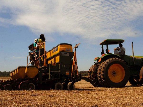 Cultivos de soja son todavía aislados por falta de lluvias