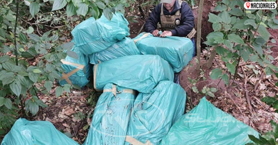 Fiscal antinarcóticos allanó inmueble e incautó 337 kilogramos de marihuana