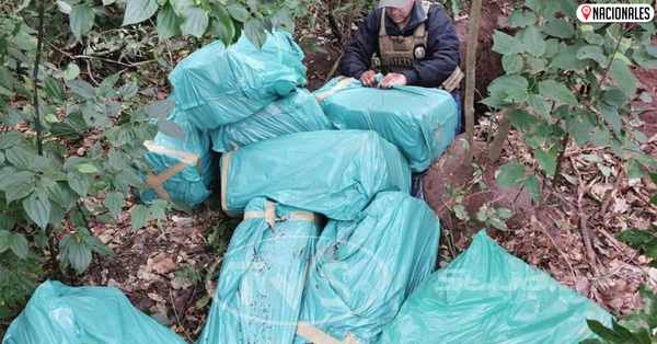 Fiscal antinarcóticos allanó inmueble e incautó 337 kilogramos de marihuana