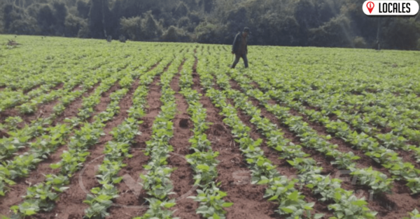 MAG asiste a productores de Itapúa