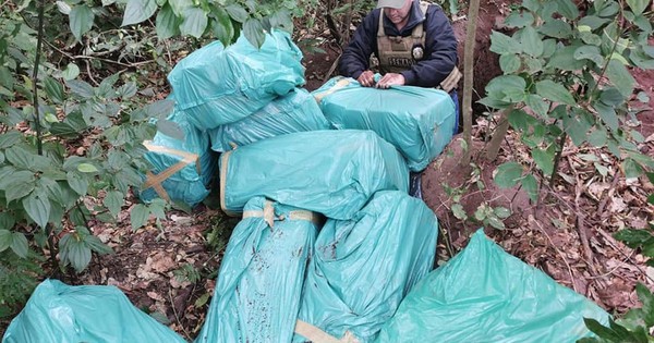 La Nación / Yby Yaú: incautan 300 kilos de marihuana escondidos en una fosa