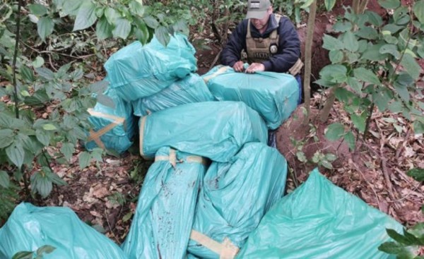 SENAD halla 337 kilogramos de marihuana ocultos en una fosa