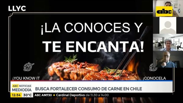 Buscan fortalecer consumo de carne paraguaya en Chile - ABC Noticias - ABC Color