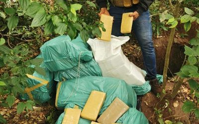 Hallan fosa con 337 kilos de marihuana a 15 Km de donde fue balacera con el EPP