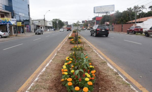 HOY / Arterias capitalinas recibirán la primavera con rostro mejorado