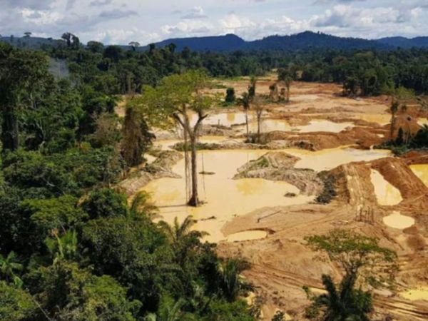 Francia se opone al acuerdo entre la UE y el Mercosur por deforestación
