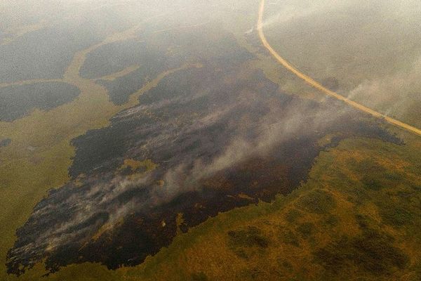 El humo de los incendios en el Pantanal llega hasta São Paulo - Mundo - ABC Color