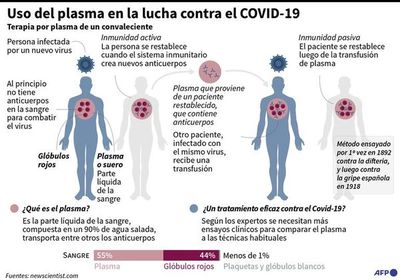 Plasma convaleciente COVID-19: 150 pacientes ya fueron tratados y estiman que ensayo clínico culminaría en un mes - Contacto Ciudadano - ABC Color