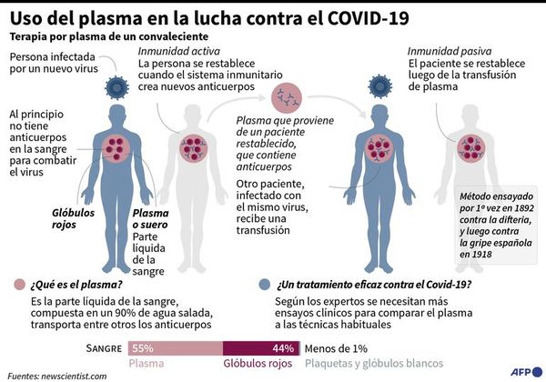 Plasma convaleciente COVID-19: 150 pacientes ya fueron tratados y estiman que ensayo clínico culminaría en un mes - Contacto Ciudadano - ABC Color