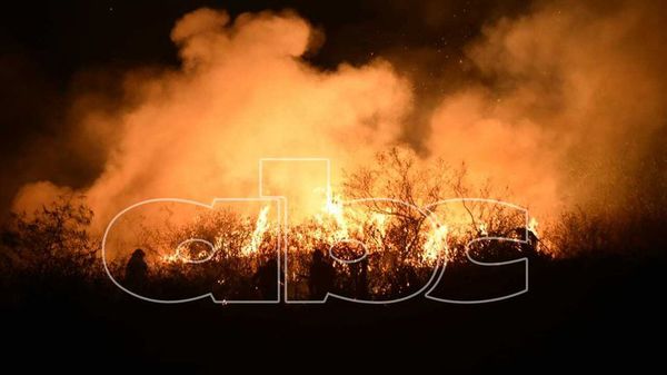 WWF: Asustan incendios forestales y piden a Ministro del Ambiente voluntad política para conservar la naturaleza - Contacto Ciudadano - ABC Color