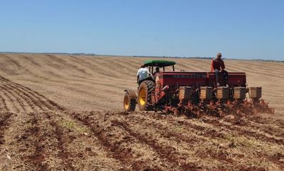 Pese a falta de lluvias, hay pronósticos favorables para producción agrícola y ganadera, según Ingeniero Agrónomo - Economía y más - ABC Color
