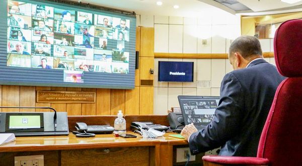 “Hasta ahora evitamos que Horacio Cartes se apodere del Senado” - Nacionales - ABC Color