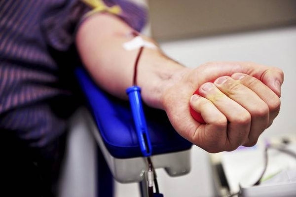 HOY / Día mundial del Donante de Médula Ósea: acto altruista que salva vidas