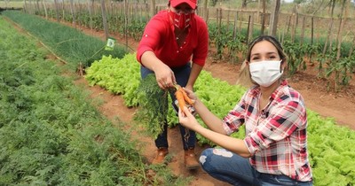 La Nación / Tenonderã beneficiará a 2.400 microemprendimientos