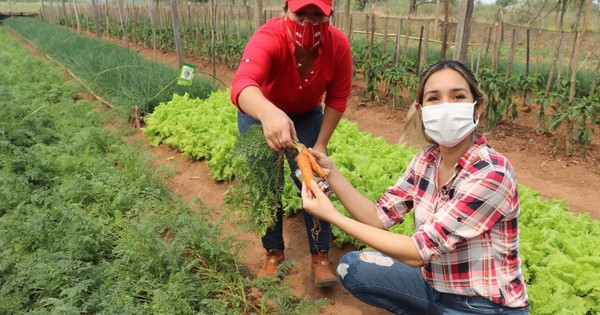 La Nación / Tenonderã beneficiará a 2.400 microemprendimientos