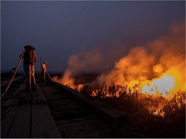 Incendios en el Pantanal, otra calamidad que amenaza el acuerdo UE-Mercosur