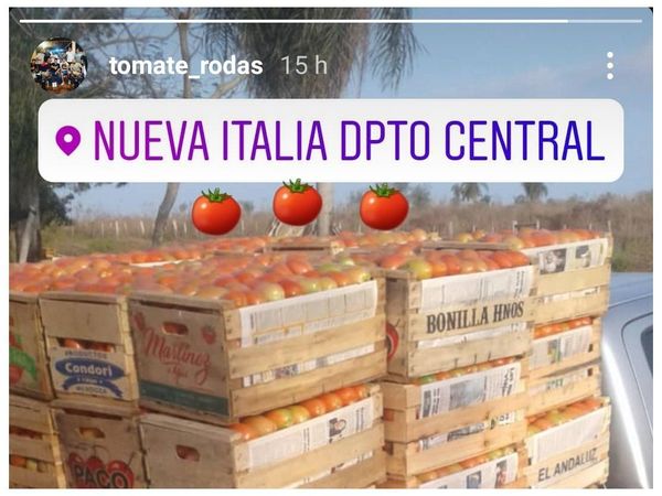 El Tomate Rodas, de la cancha a la huerta