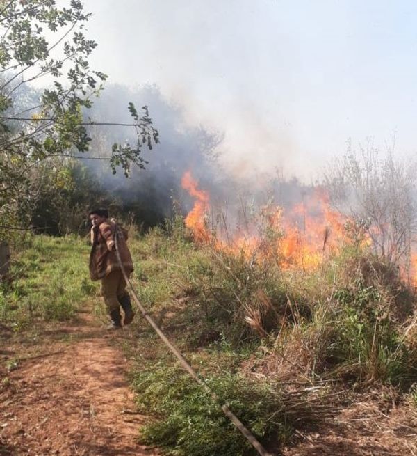 Se incendian cinco reservas forestales de Alto Paraná  - ABC en el Este - ABC Color