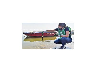 Pese a la pandemia, jóvenes se unen para limpiar la bahía
