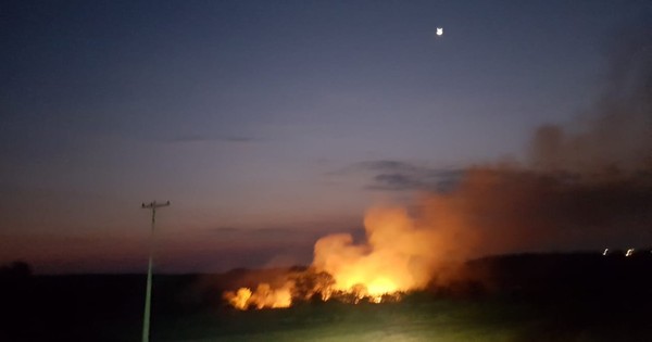 La Nación / Incendio destruyó 5 hectáreas de bosque en Presidente Franco