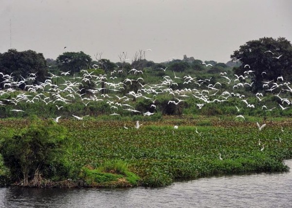 Piden redoblar esfuerzos para proteger Reserva Ecológica San Miguel