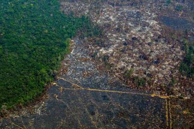 Francia frena el acuerdo UE-Mercosur “preocupada” por su impacto en la deforestación