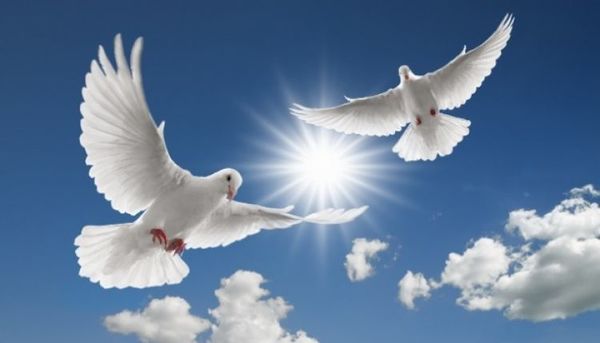 Hoy recordamos el Día Internacional de la Paz