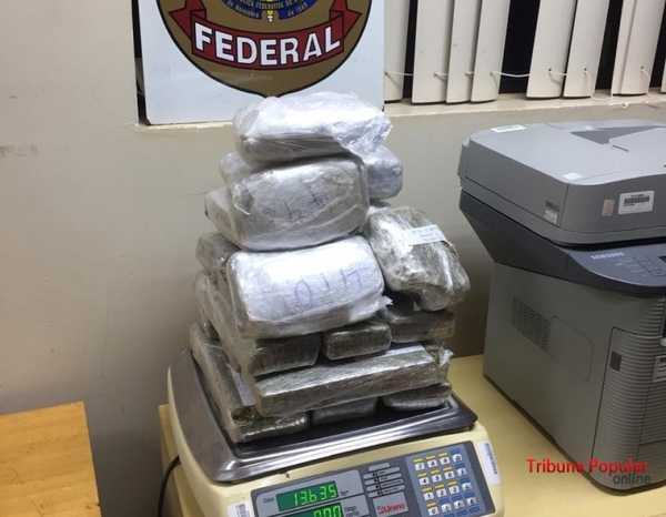Decomisan MARIHUANA del tipo “SKUNK”