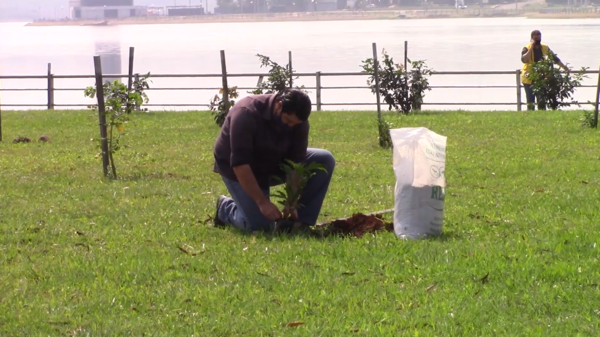 Arborizan Costanera de Encarnación con más de 100 plantines donados por la EBY