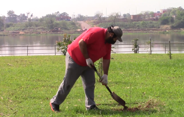 Plantan más 100 árboles nativos donados por la EBY en la Costanera de Encarnación