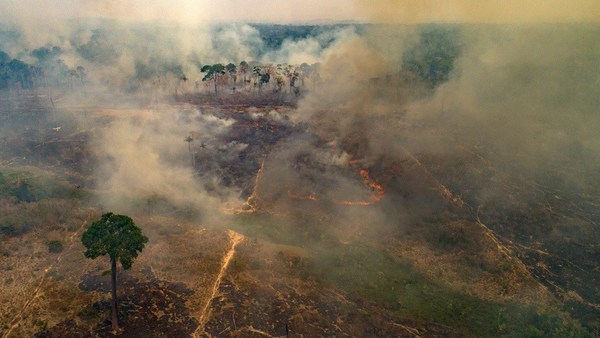 El humo por los incendios de Brasil se extiende 4.000 kilómetros y ya afecta a cinco países vecinos - ADN Paraguayo