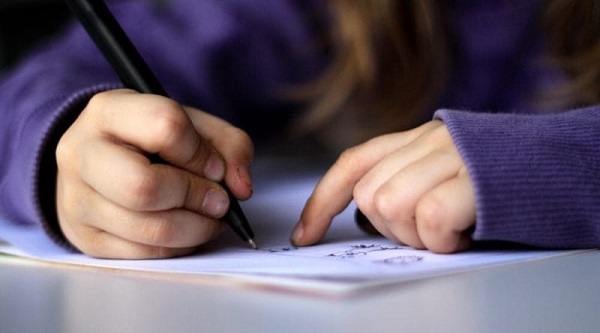 MEC continúa proceso de conformación de órgano consultor para proponer políticas educativas