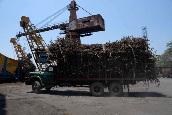 Industriales mexicanos acusan al Gobierno de «satanizar» el azúcar - MarketData