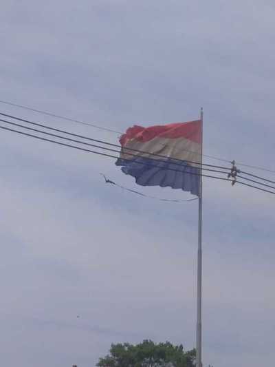 Bandera de rotonda del km 30 sintetiza el abandono y olvido de la clase política