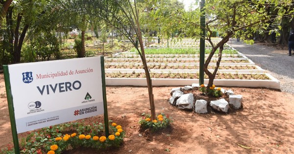 La Nación / Para dar la bienvenida a la primavera reabren vivero municipal en Asunción