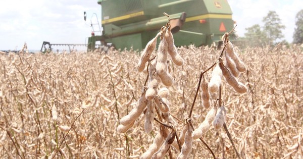 La Nación / Envíos de soja y arroz encabezan repunte del comercio exterior