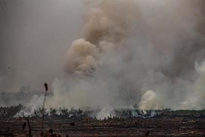 Brasil crea una secretaría específica sobre Amazonía tras crisis ambiental » Ñanduti