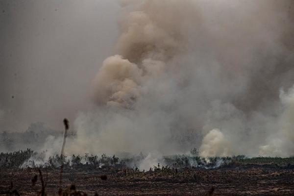 Brasil crea una secretaría específica sobre Amazonía tras crisis ambiental » Ñanduti