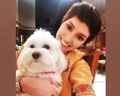 Crónica / Cantante denunció a su vecino cerrista