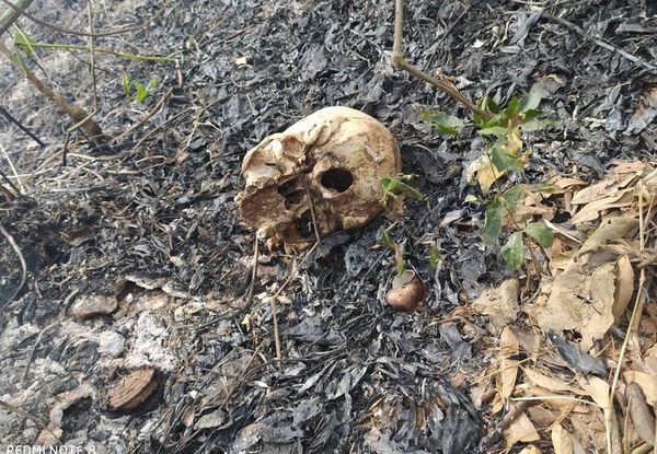 Hallan restos óseos en un yuyal de Ypacaraí - Nacionales - ABC Color