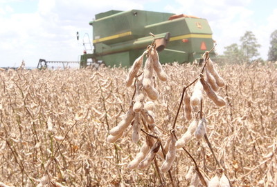 Envíos de soja y arroz encabezan repunte del comercio exterior