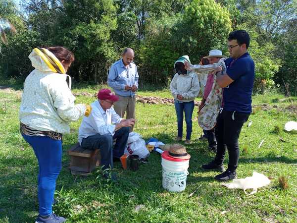 Apicultores de Ayolas se capacitan para mejorar producción - Digital Misiones