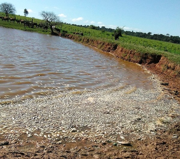 Brutal invasión a Pindó aterroriza a propietarios vecinos y se extiende con el Estado de "mirón" - La Mira Digital