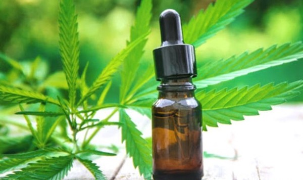 'Hace tiempo debió haber sido despenalizado el uso del cannabis medicinal'
