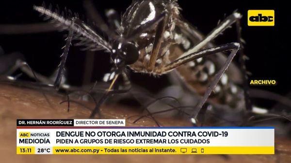 Piden a grupos de riesgo extremar cuidados con el dengue - ABC Noticias - ABC Color