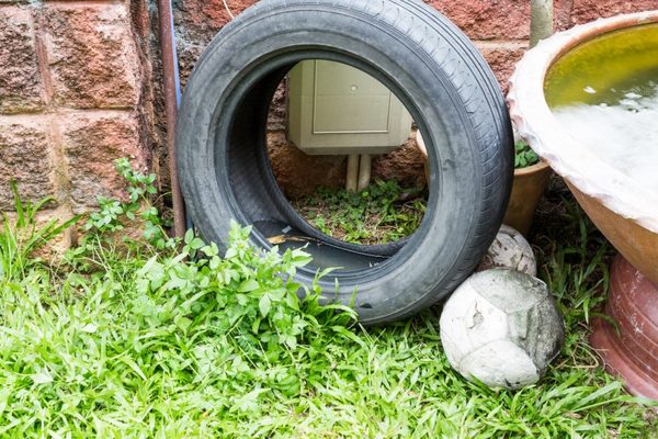 El dengue no ha dejado de cobrar vidas, también en el Chaco