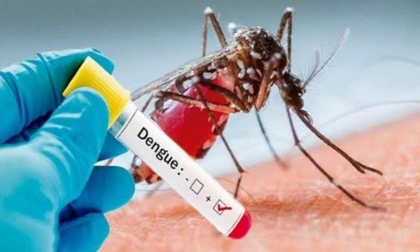 Crónica / Dengue ndaje podría dar inmunidad contra Covid-19