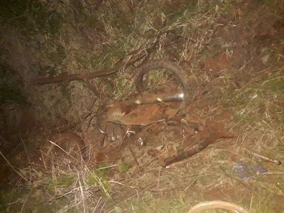 Dos menores y un joven mueren tras ser impactados por camioneta manejada por policía - Nacionales - ABC Color