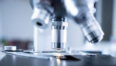 Meyer Lab: el laboratorio de análisis clínicos se mantiene como referencia gracias a su adaptación